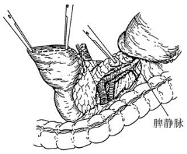 pagenumber_ebook=493,pagenumber_book=478