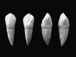 pagenumber_ebook=200,pagenumber_book=191