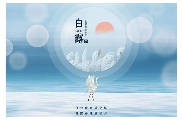 image.png?v=1750240919778