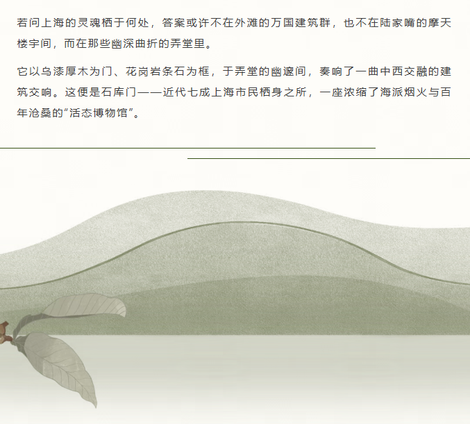 image.png?v=1788234413239