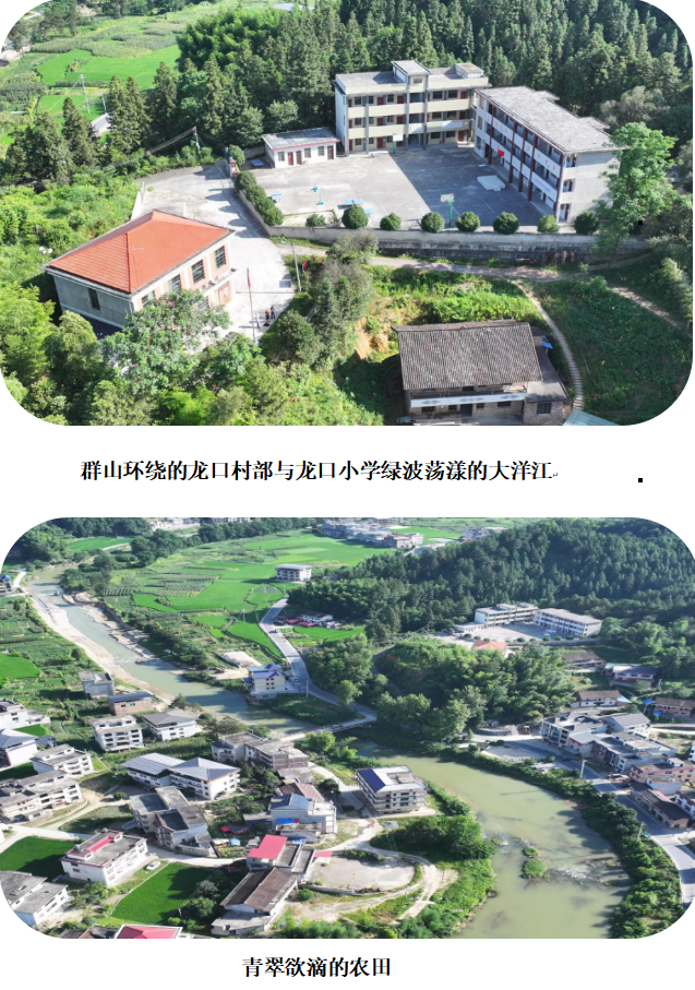 1732353145036 1732353145036.png