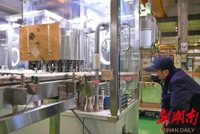 44 44.jpg?v=1765960245361