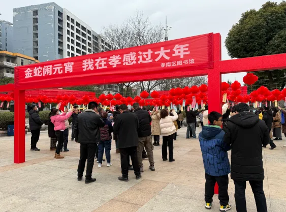 image image.png?v=1762619533769