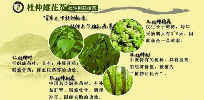 55555555 55555555.jpg