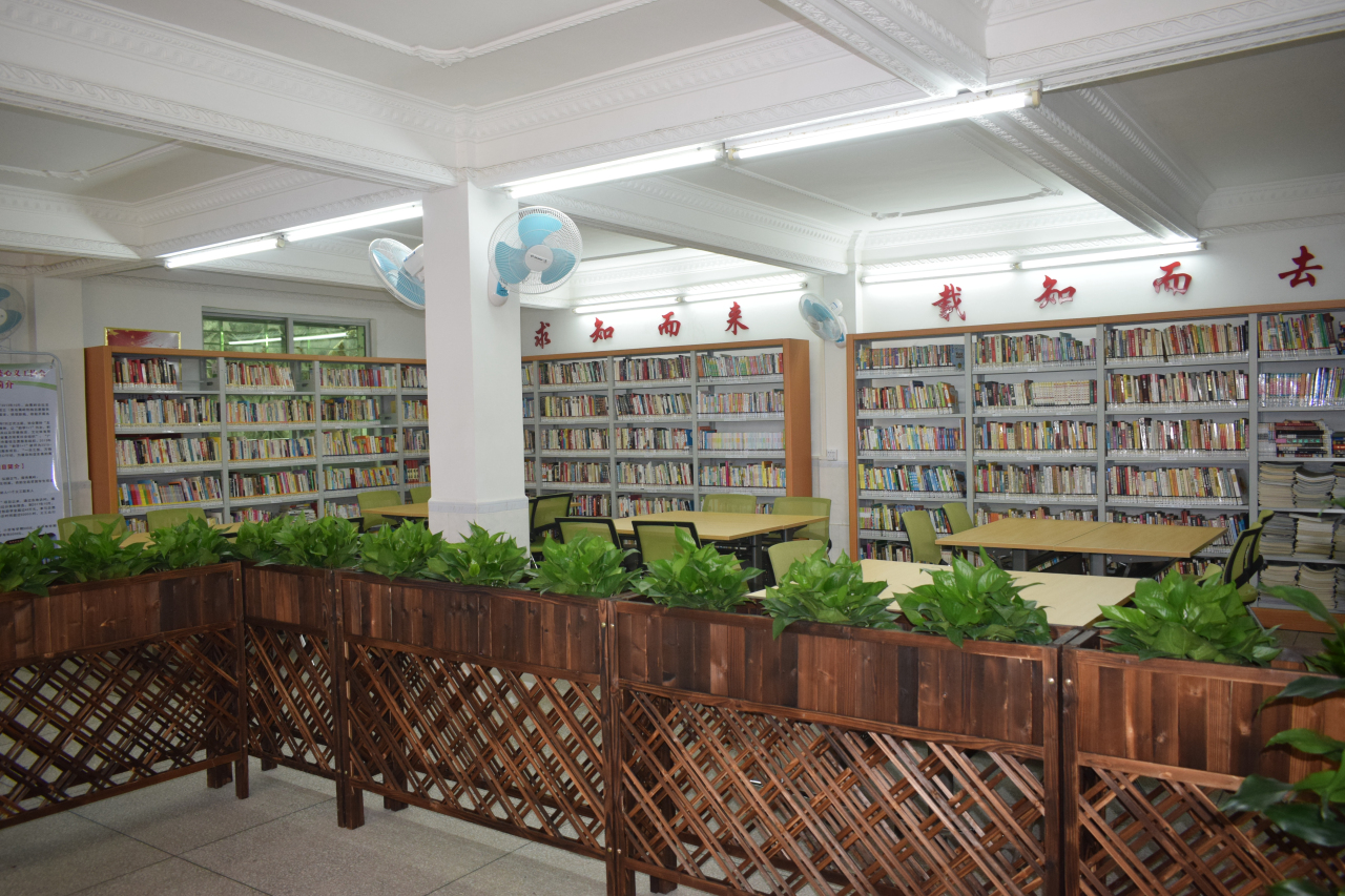 DSC_3440 DSC_3440.jpg?v=1766022154982