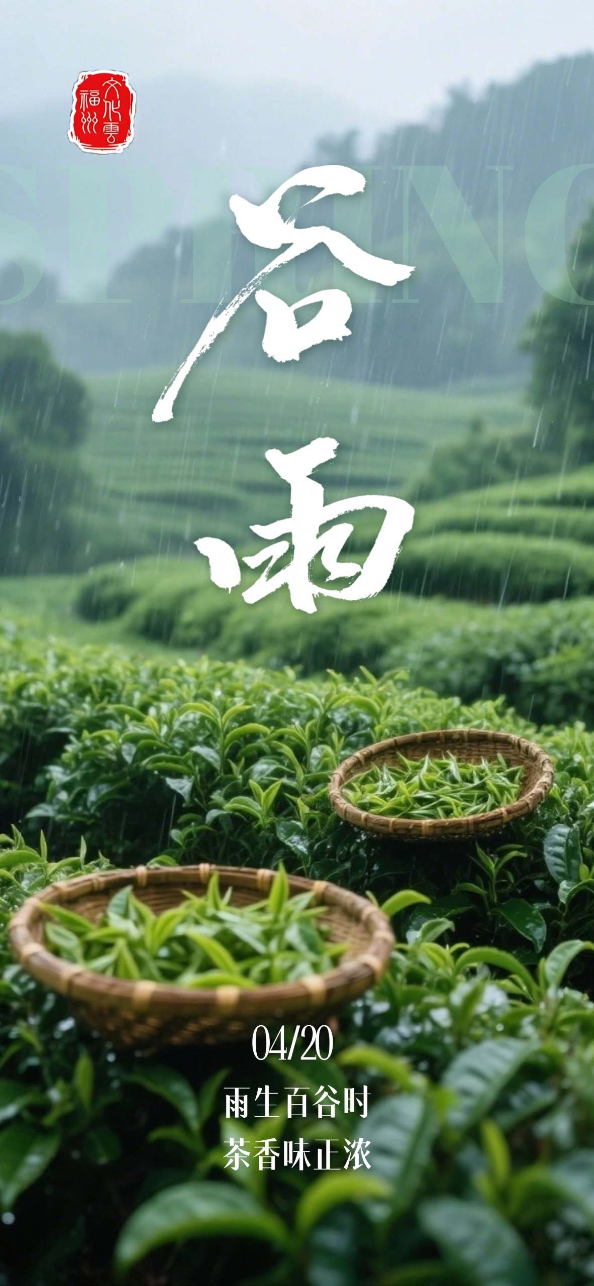 20250420【谷雨】雨生百谷时 茶香味正浓2.jpeg