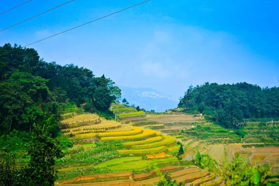 微信图片_20210525161142 微信图片_20210525161142.jpg