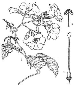 pagenumber_ebook=183,pagenumber_book=183