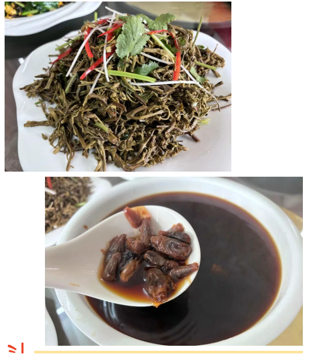 7d0bb0425081efbaf574c5323c6909c2png