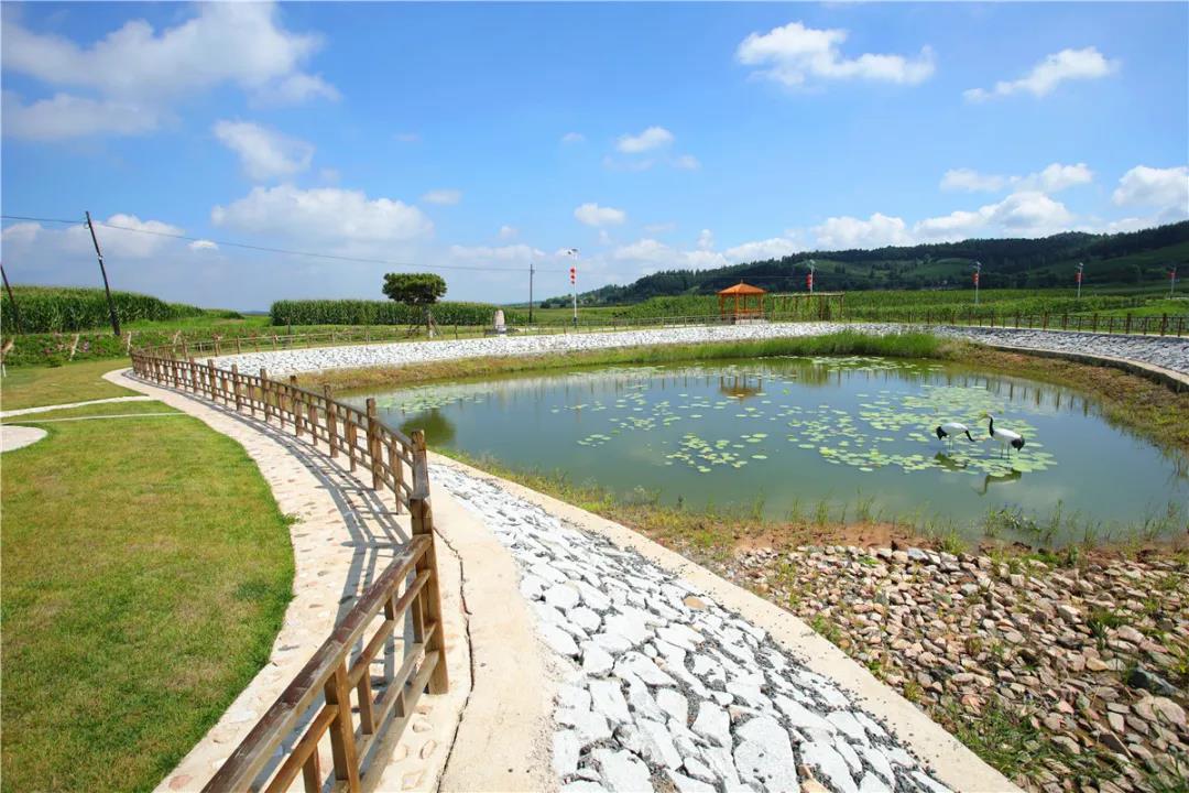 微信图片_20200819065727