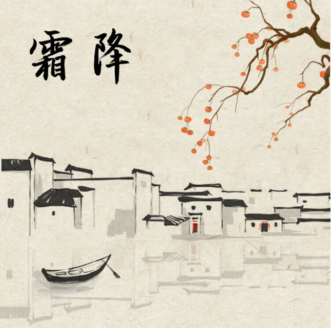 image.png?v=1762073929220