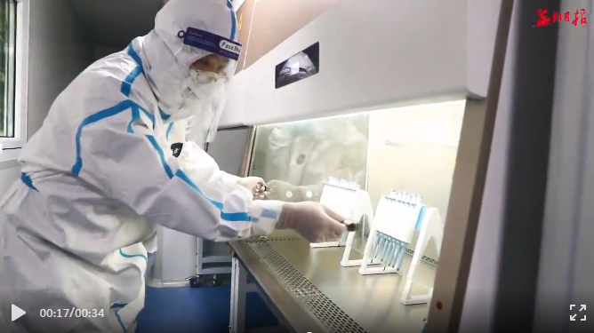 5 5.png?v=1765845881407