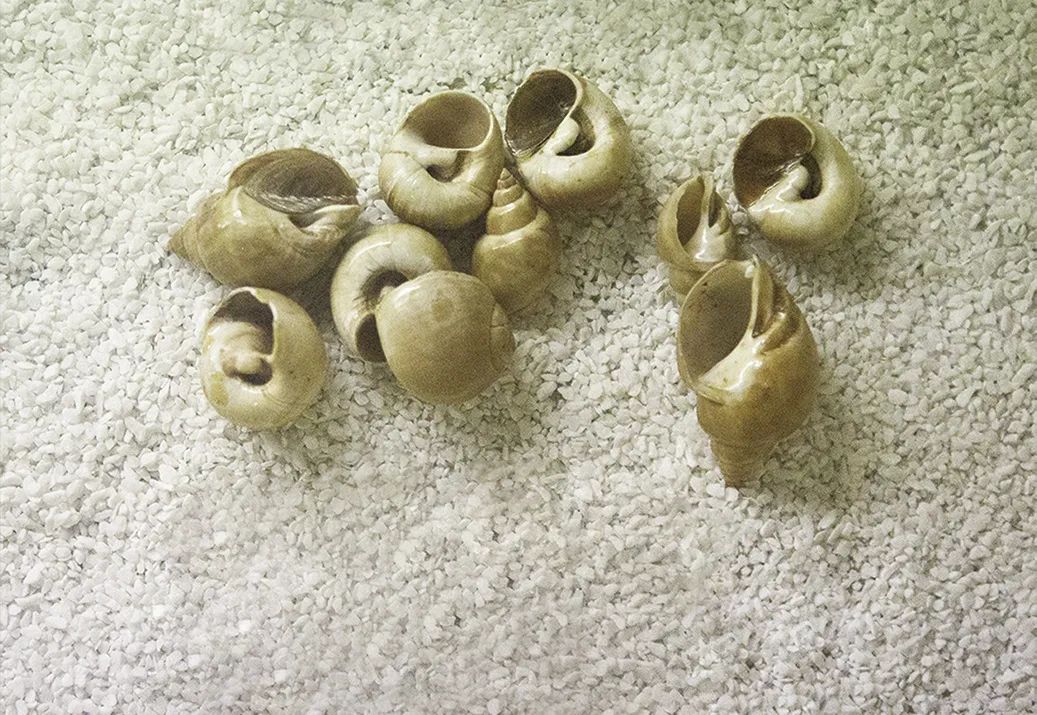 微信图片_20220505094459 微信图片_20220505094459.jpg