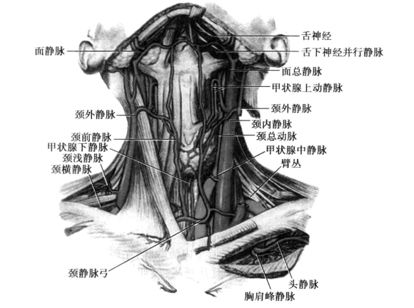 pagenumber_ebook=83,pagenumber_book=74