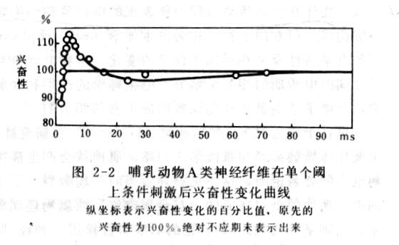 兴奋性的变化.jpg