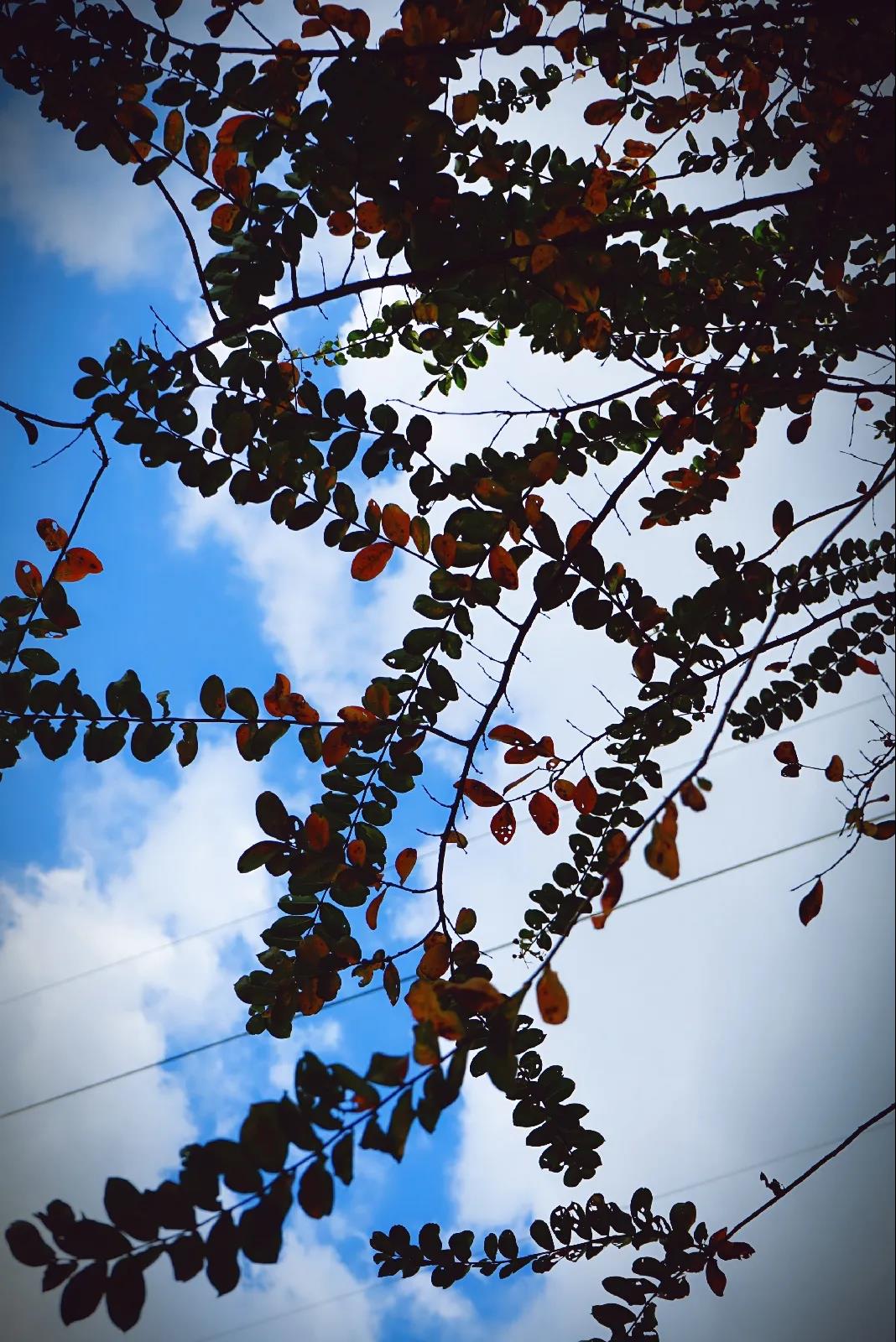 微信图片_20201124234216