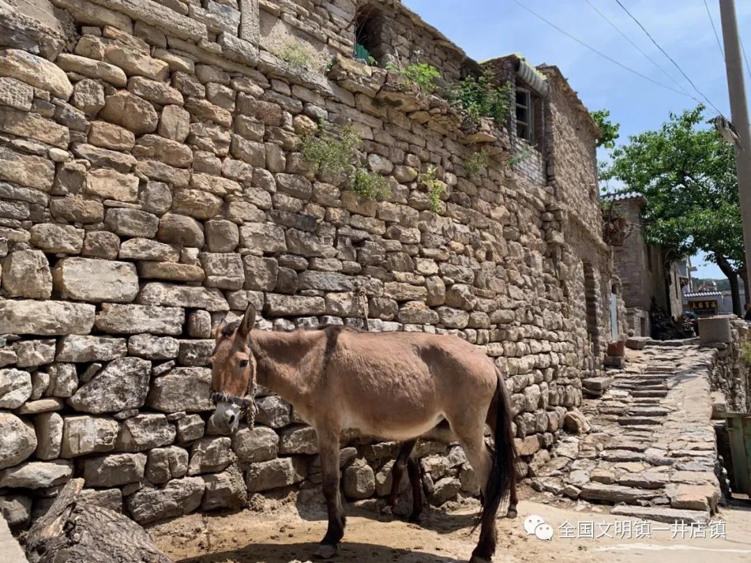 微信图片_20210624085506