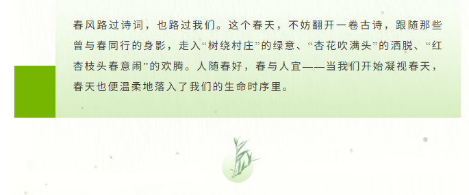 image.png?v=1774110454134