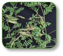 pagenumber_ebook=268,pagenumber_book=255