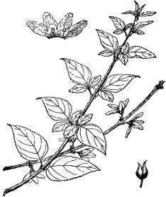 pagenumber_ebook=155,pagenumber_book=155