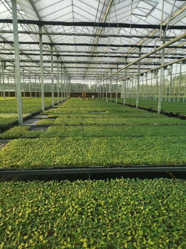 微信图片_20200824090428