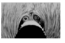 pagenumber_ebook=165,pagenumber_book=165