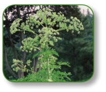 pagenumber_ebook=22,pagenumber_book=9