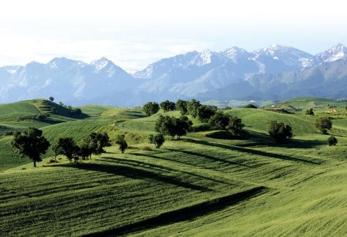 pagenumber_ebook=141,pagenumber_book=130