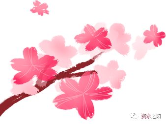 11 11.png?v=1766030111384