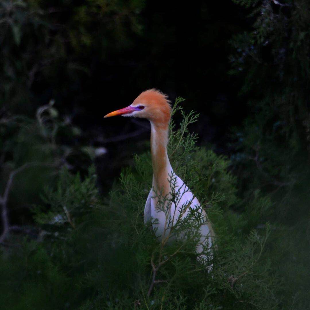 微信图片_202006051641121