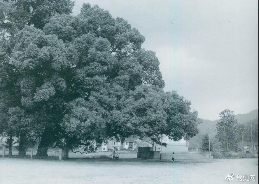 微信图片_20210929105147 微信图片_20210929105147.jpg