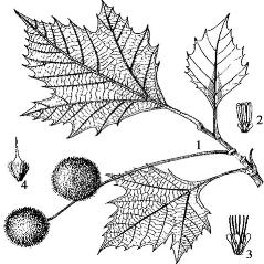 pagenumber_ebook=103,pagenumber_book=103