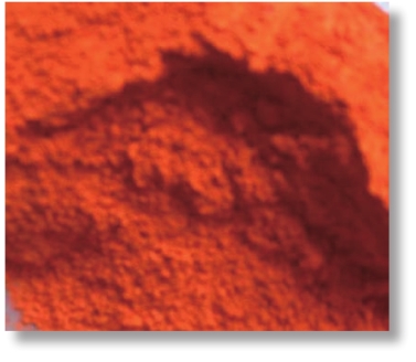 pagenumber_ebook=313,pagenumber_book=300