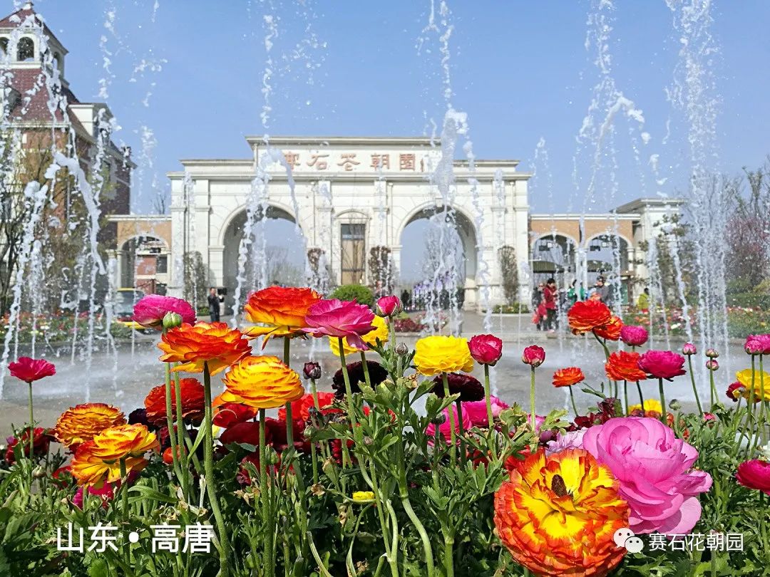 微信图片_20200730153119