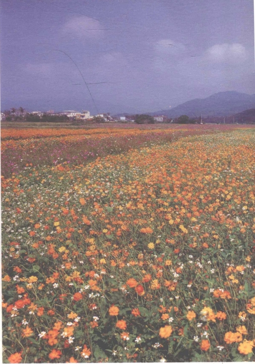 pagenumber_ebook=77,pagenumber_book=69