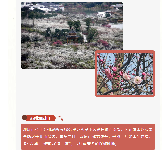 image.png?v=1762124709276