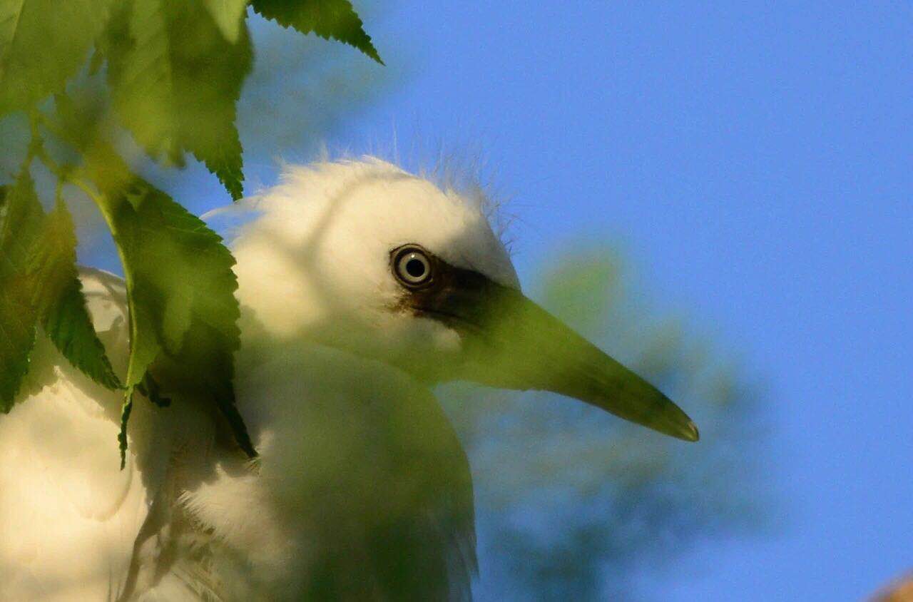 微信图片_202006051641123