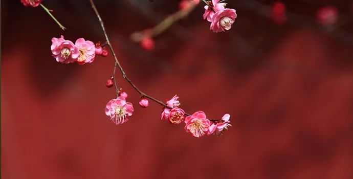 微信图片_20220803090905 微信图片_20220803090905.jpg?v=1756010416814