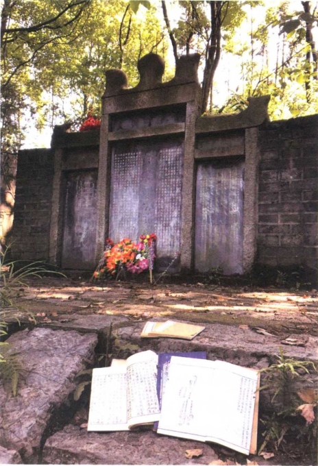 pagenumber_ebook=224,pagenumber_book=217