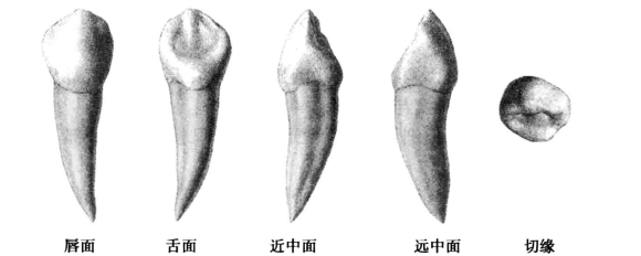 pagenumber_ebook=42,pagenumber_book=33