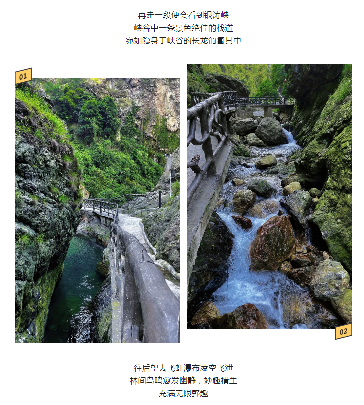 63789046d091ada22962c16f1d26b85.png