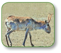 pagenumber_ebook=238,pagenumber_book=225