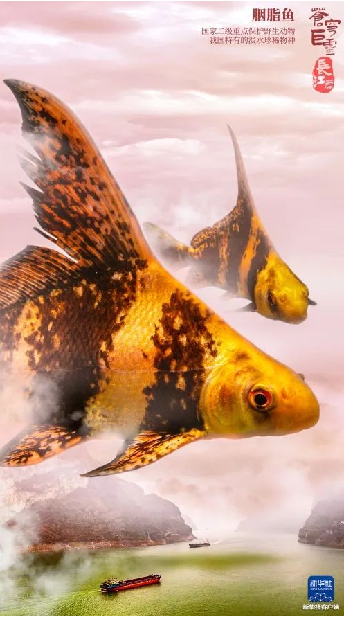 image image.png?v=1763569565657