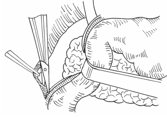 pagenumber_ebook=295,pagenumber_book=287