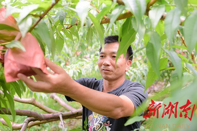 7196d4b63792889041c69f2c0219abdb5cd412021627231310 7196d4b63792889041c69f2c0219abdb5cd412021627231310.jpg