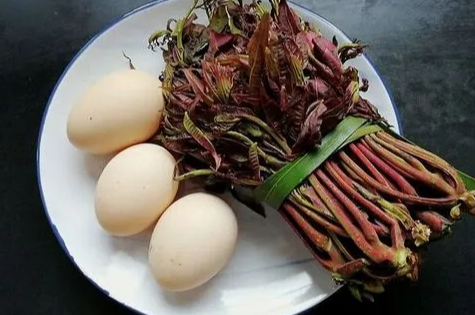 图片 图片.png?v=1761705856226