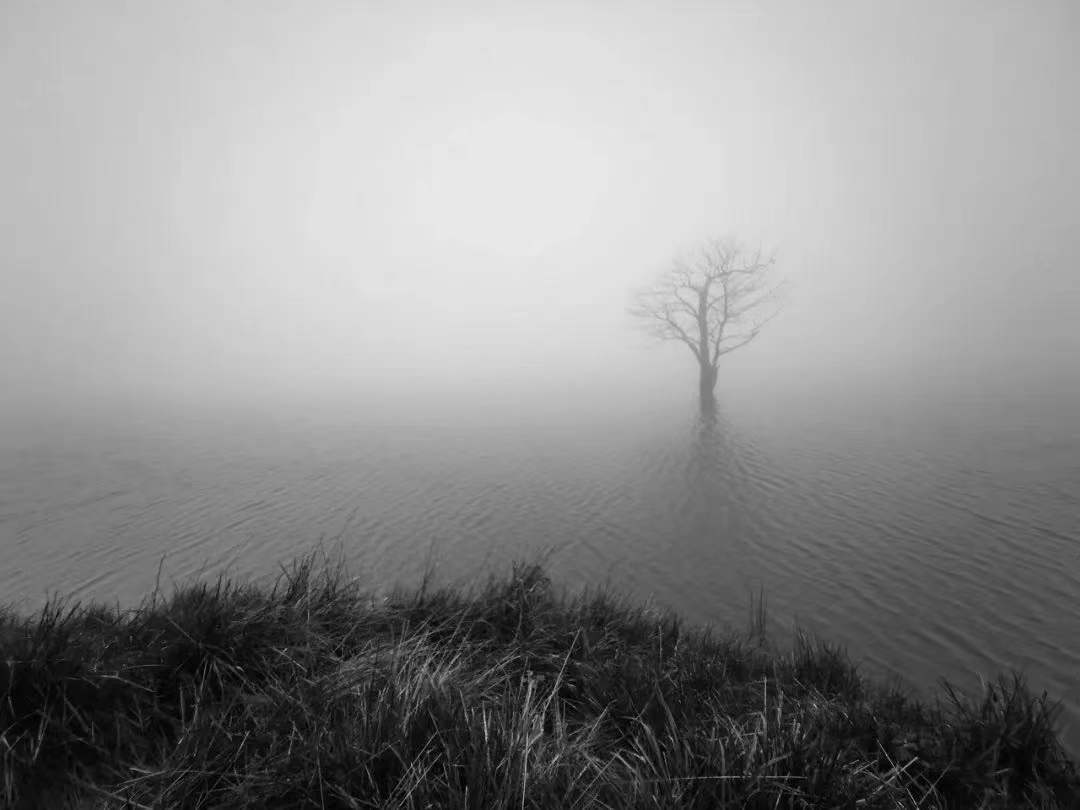 351730ef2175ecbb65402ed14e1ef39 351730ef2175ecbb65402ed14e1ef39.jpg?v=1762743078123