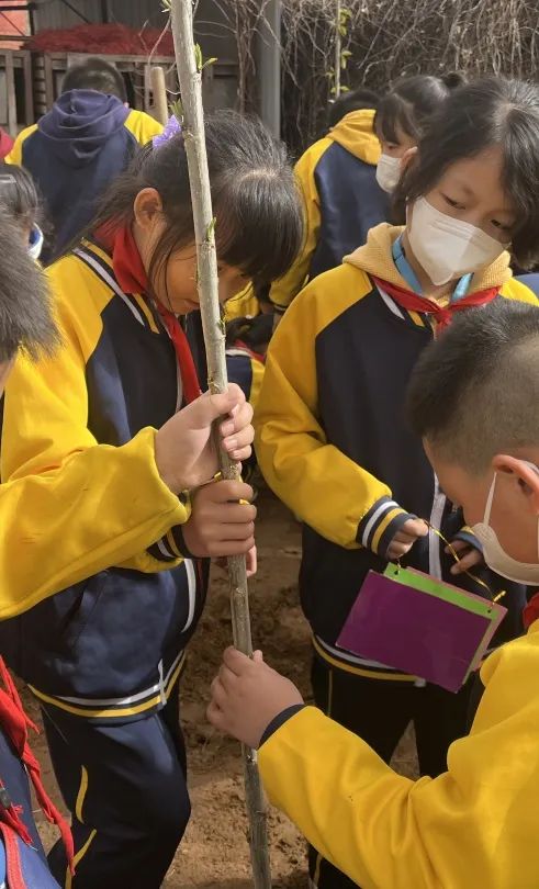 37f397d98d97751dbfcc98ab10500ee3_640_wx_fmt=jpeg&wxfrom=5&wx_lazy=1&wx_co=1 37f397d98d97751dbfcc98ab10500ee3_640_wx_fmt=jpeg&wxfrom=5&wx_lazy=1&wx_co=1.jpg