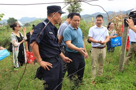 52CCD211DB8E4635B4CA3FFB8F0830B7.jpg?v=1765889516700