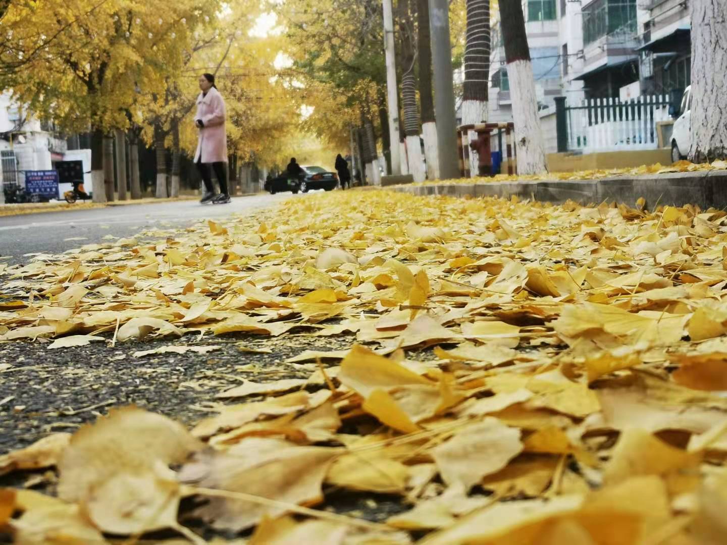 微信图片_2020121420261212